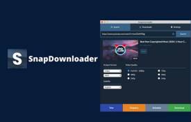 What Are Common Issues Users Face With SnapDownloader And How Can You Fix Them?