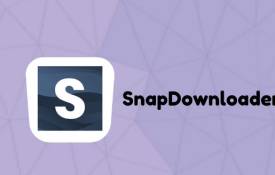 In Quali Formati Puoi Scaricare I Video Usando SnapDownloader?