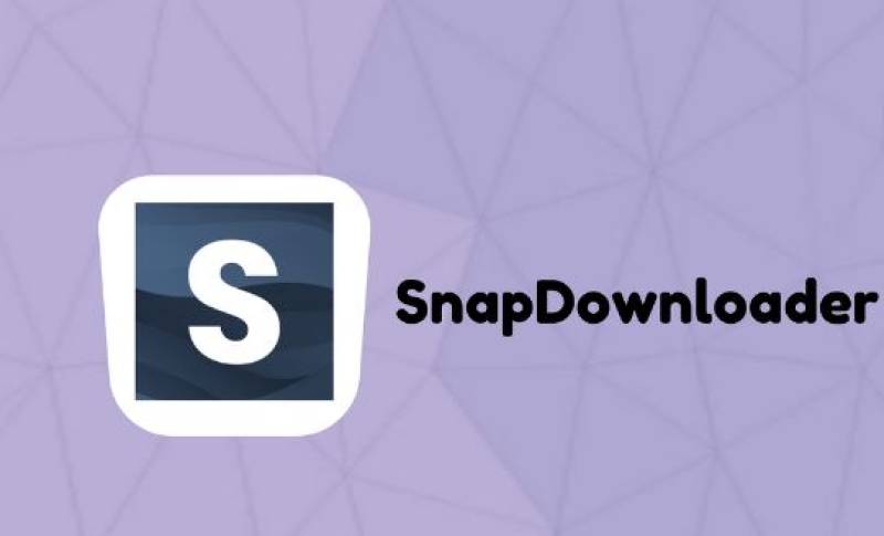 What Formats Can You Download Videos In Using SnapDownloader?